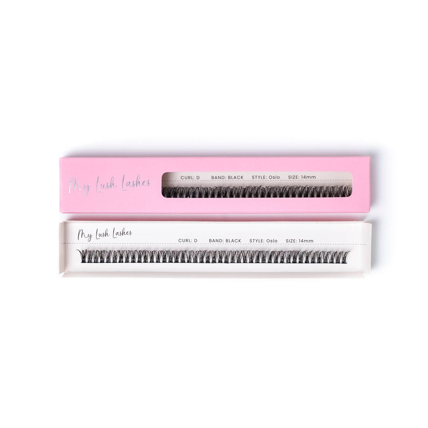 D Curl Black Ribbon Lash - Oslo Style